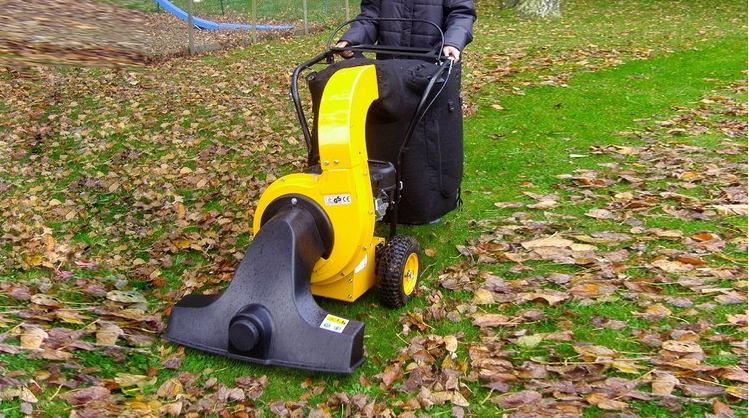 A leaf vacuum discount